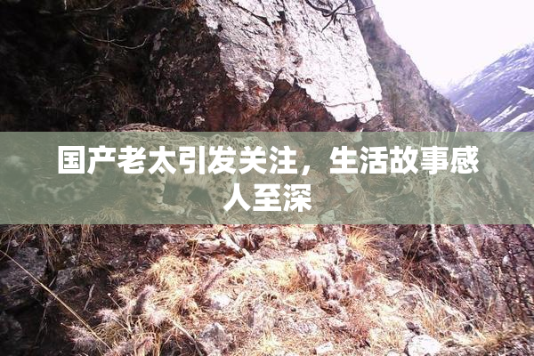 国产老太引发关注，生活故事感人至深