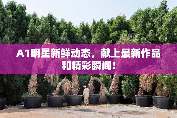 A1明星新鲜动态，献上最新作品和精彩瞬间！