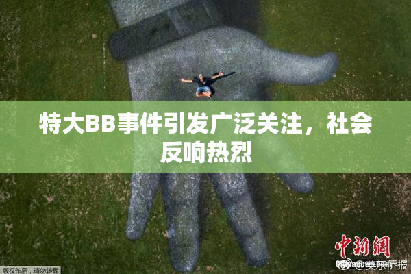 特大BB事件引发广泛关注，社会反响热烈