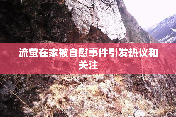 流萤在家被自慰事件引发热议和关注