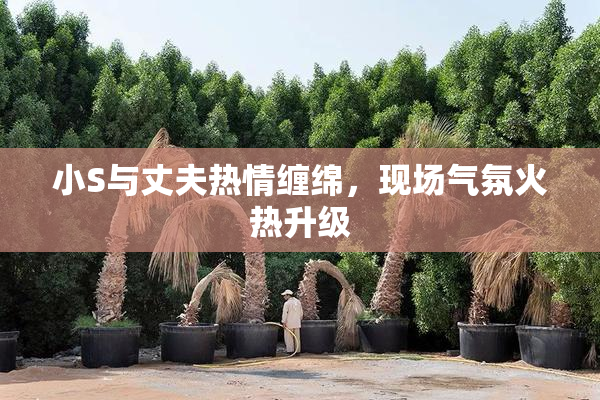 小S与丈夫热情缠绵，现场气氛火热升级