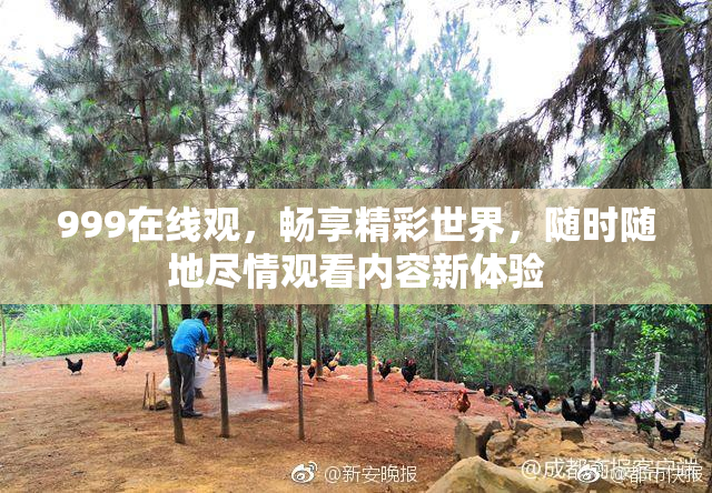 999在线观，畅享精彩世界，随时随地尽情观看内容新体验