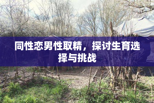 同性恋男性取精，探讨生育选择与挑战