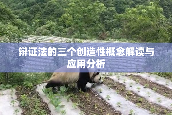辩证法的三个创造性概念解读与应用分析