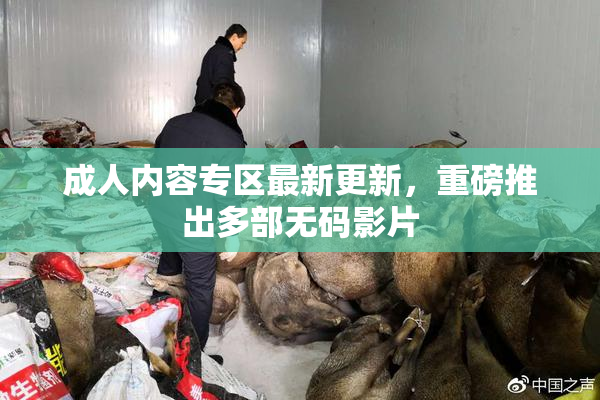成人内容专区最新更新，重磅推出多部无码影片