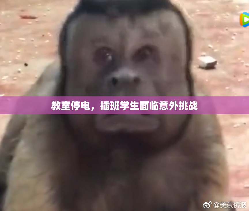 教室停电，插班学生面临意外挑战