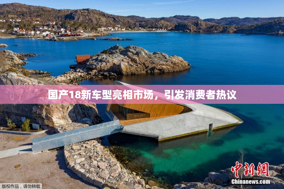 国产18新车型亮相市场，引发消费者热议