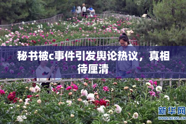 秘书被c事件引发舆论热议，真相待厘清