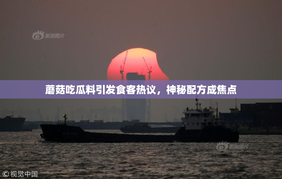 蘑菇吃瓜料引发食客热议，神秘配方成焦点