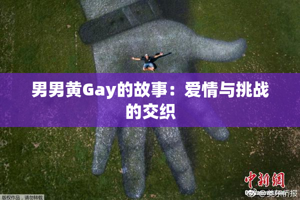男男黄Gay的故事：爱情与挑战的交织