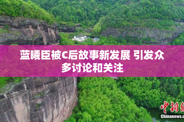 蓝曦臣被C后故事新发展 引发众多讨论和关注