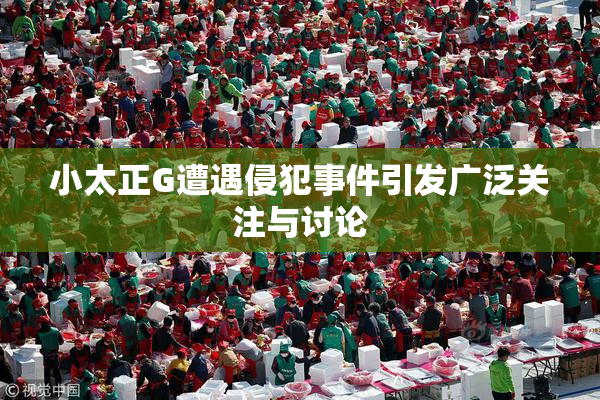 小太正G遭遇侵犯事件引发广泛关注与讨论