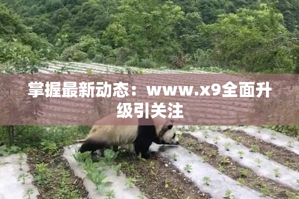 掌握最新动态：www.x9全面升级引关注