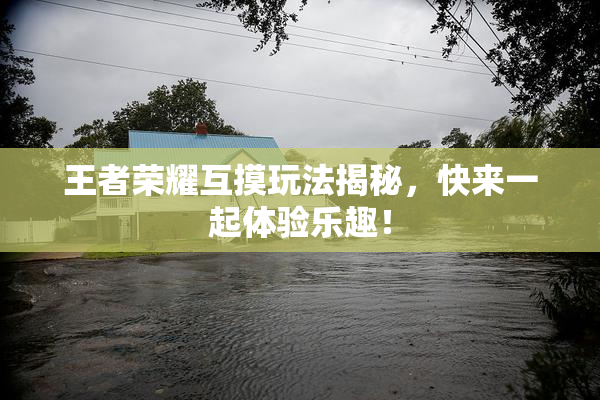 王者荣耀互摸玩法揭秘，快来一起体验乐趣！