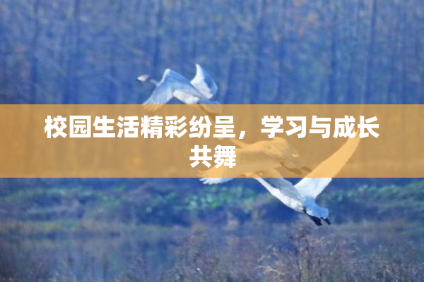 校园生活精彩纷呈，学习与成长共舞