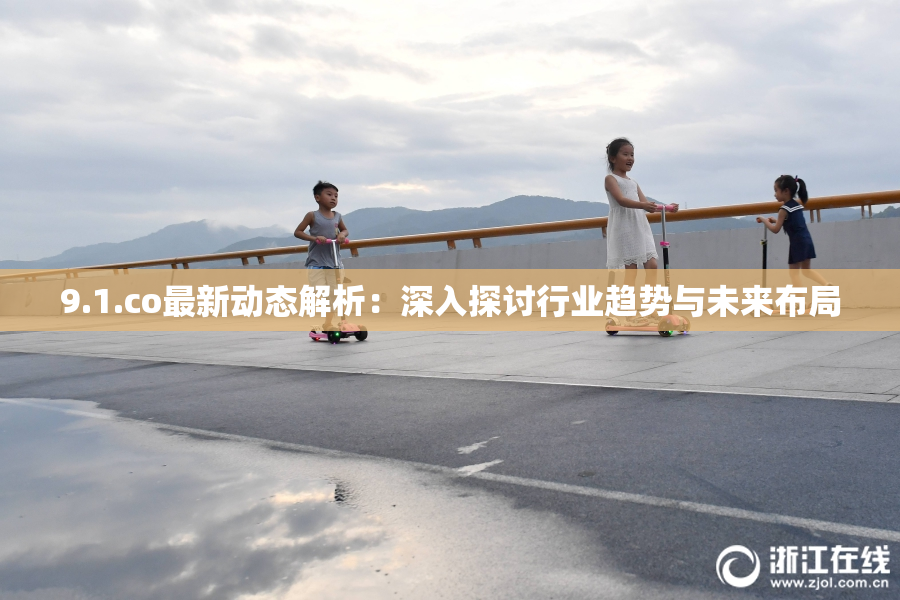 9.1.co最新动态解析：深入探讨行业趋势与未来布局