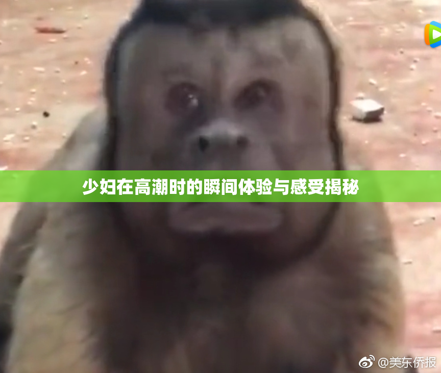 少妇在高潮时的瞬间体验与感受揭秘