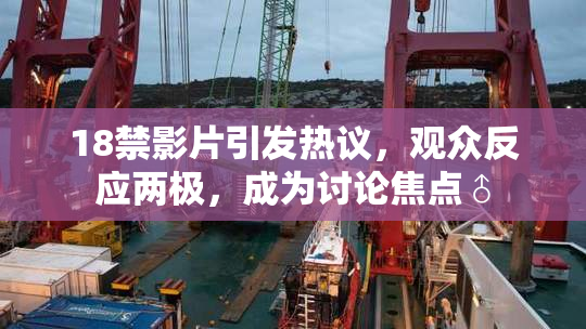 18禁影片引发热议，观众反应两极，成为讨论焦点♂