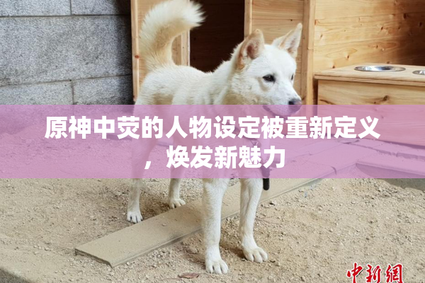 原神中荧的人物设定被重新定义，焕发新魅力