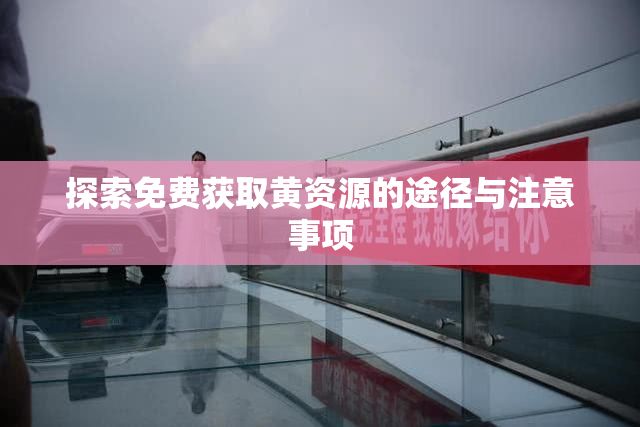 探索免费获取黄资源的途径与注意事项