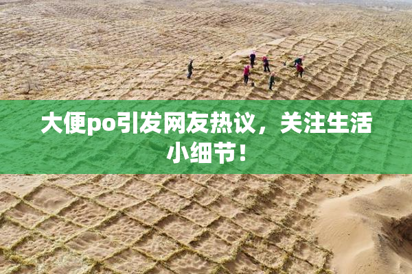 大便po引发网友热议，关注生活小细节！