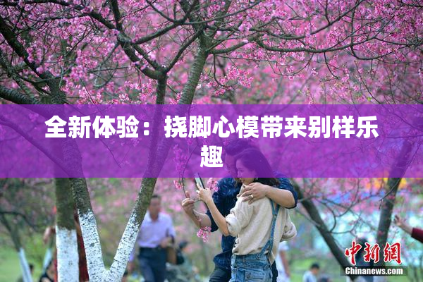 全新体验：挠脚心模带来别样乐趣