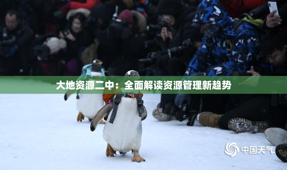 大地资源二中：全面解读资源管理新趋势