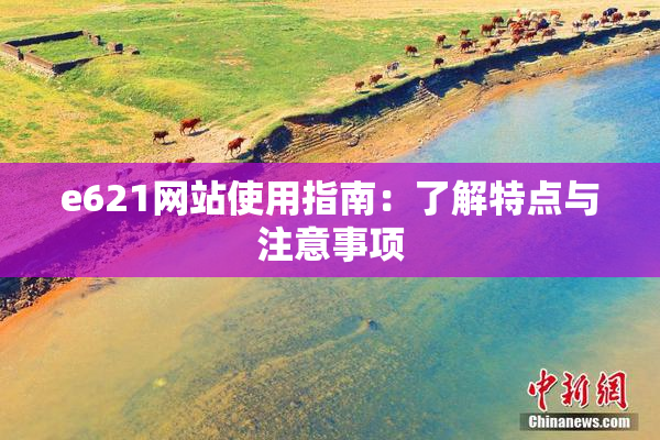e621网站使用指南：了解特点与注意事项