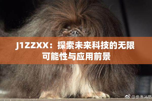 J1ZZXX：探索未来科技的无限可能性与应用前景