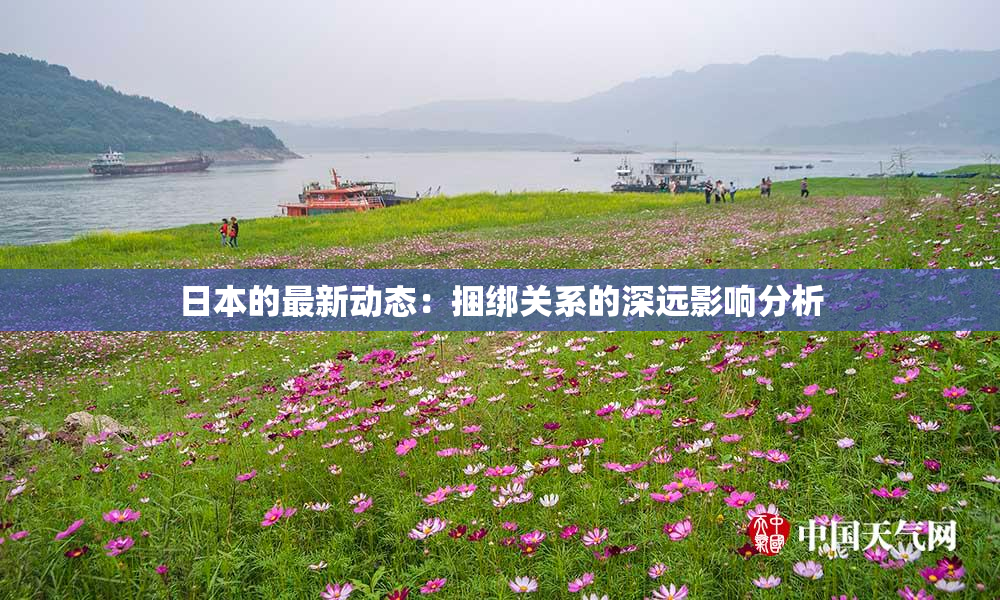 日本的最新动态：捆绑关系的深远影响分析