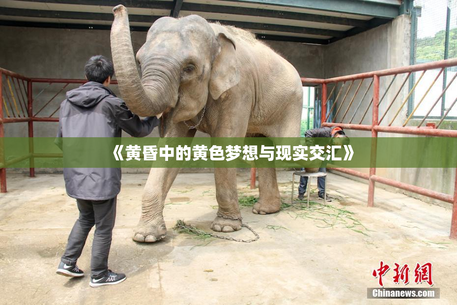 《黄昏中的黄色梦想与现实交汇》