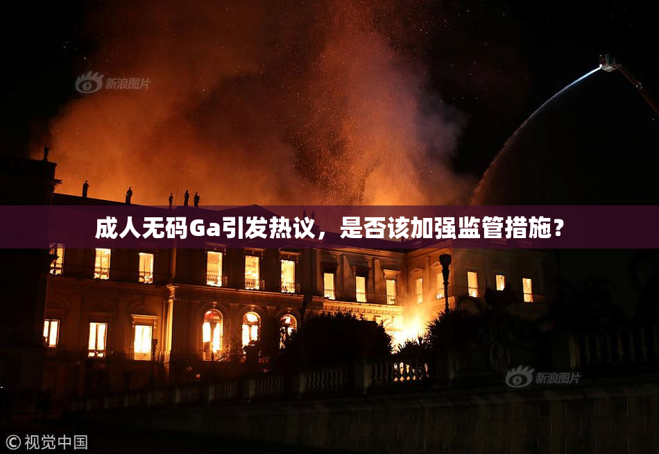 成人无码Ga引发热议，是否该加强监管措施？