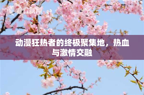 动漫狂热者的终极聚集地，热血与激情交融