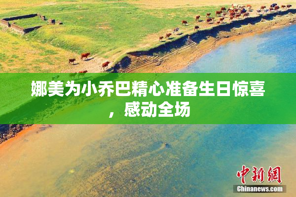 娜美为小乔巴精心准备生日惊喜，感动全场