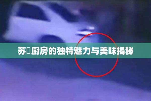 苏玥厨房的独特魅力与美味揭秘