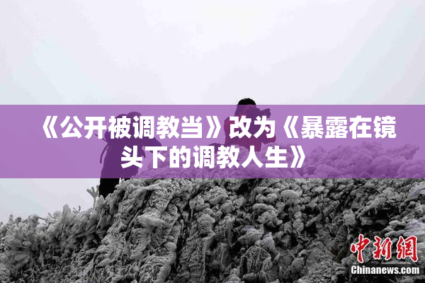 《公开被调教当》改为《暴露在镜头下的调教人生》
