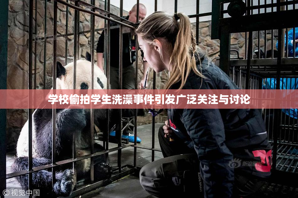 学校偷拍学生洗澡事件引发广泛关注与讨论