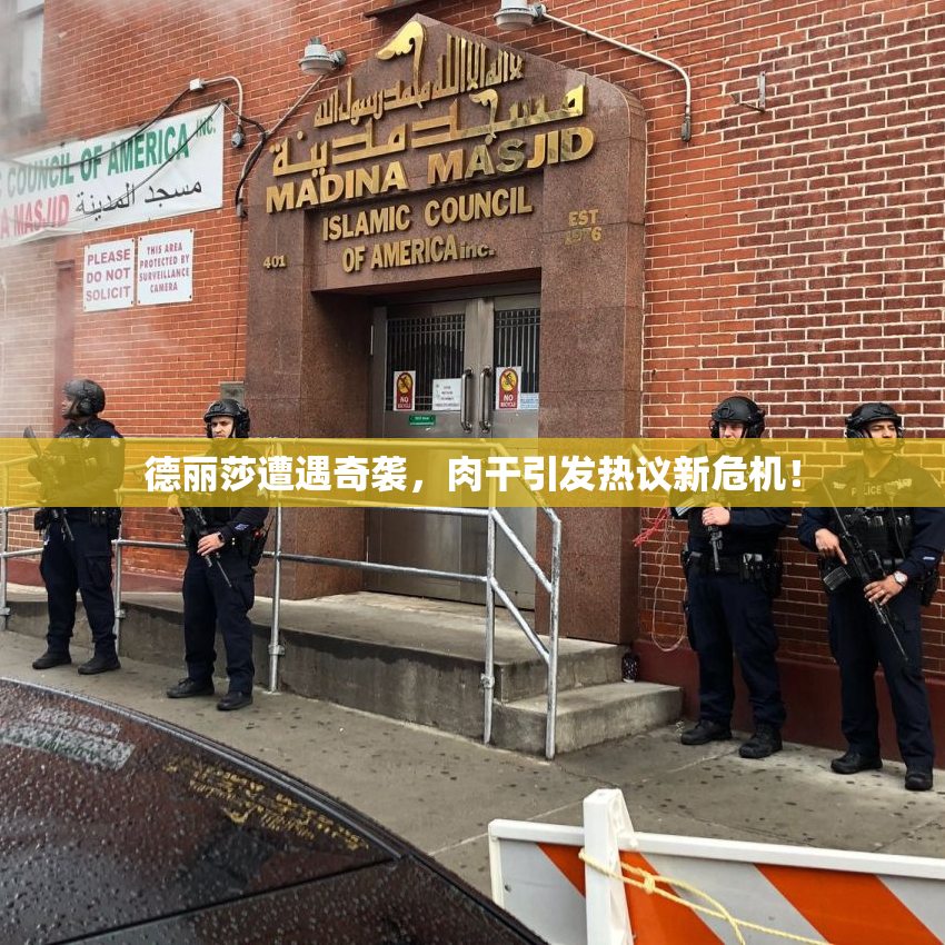 德丽莎遭遇奇袭，肉干引发热议新危机！