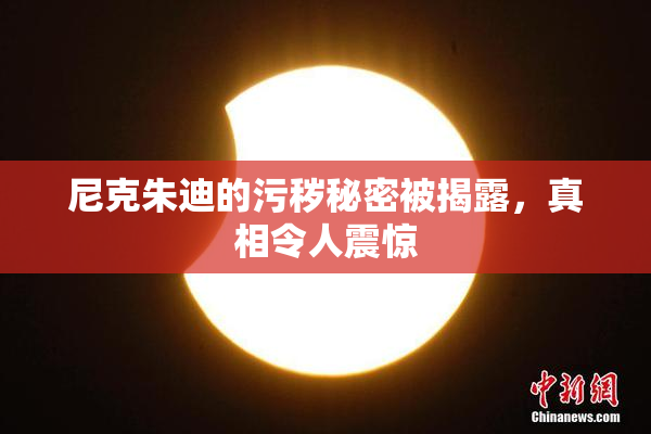 尼克朱迪的污秽秘密被揭露，真相令人震惊
