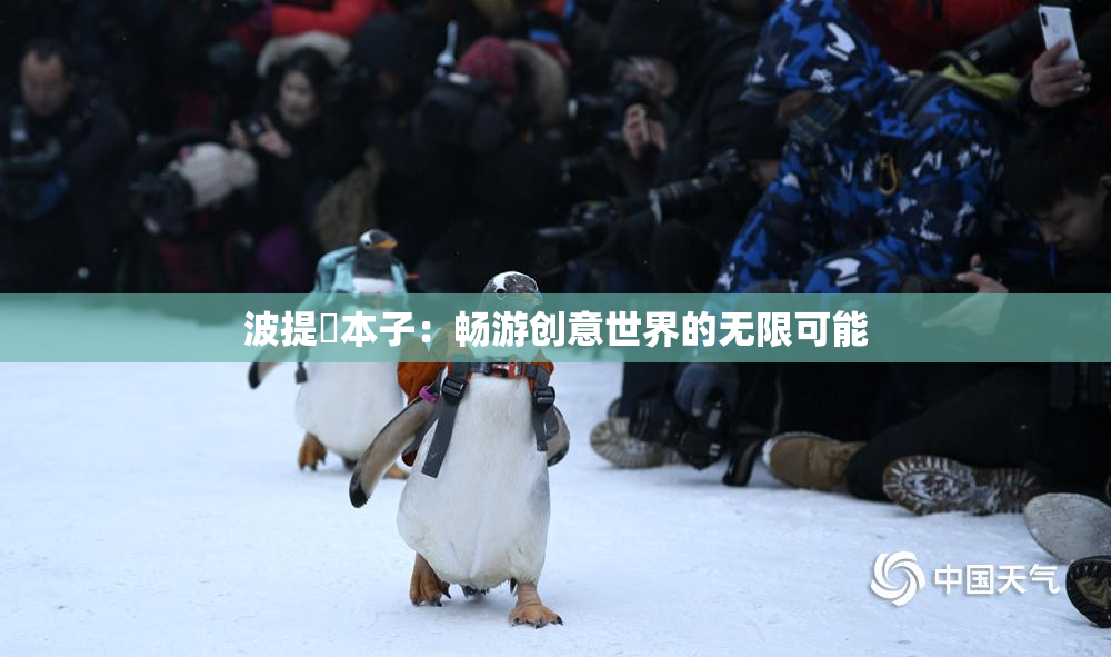 波提歐本子：畅游创意世界的无限可能