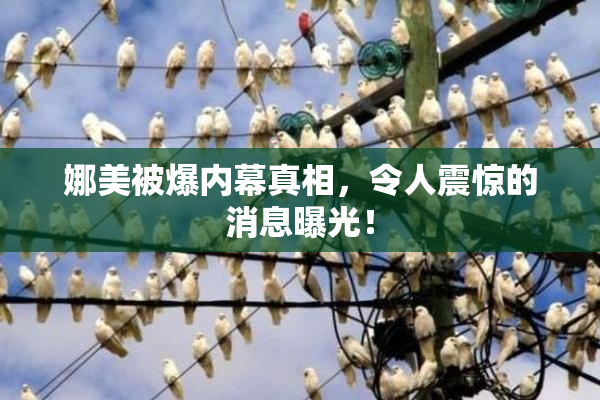娜美被爆内幕真相，令人震惊的消息曝光！