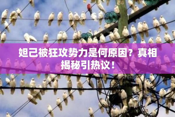妲己被狂攻势力是何原因？真相揭秘引热议！