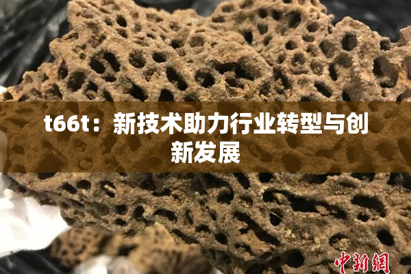 t66t：新技术助力行业转型与创新发展