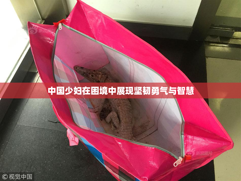中国少妇在困境中展现坚韧勇气与智慧