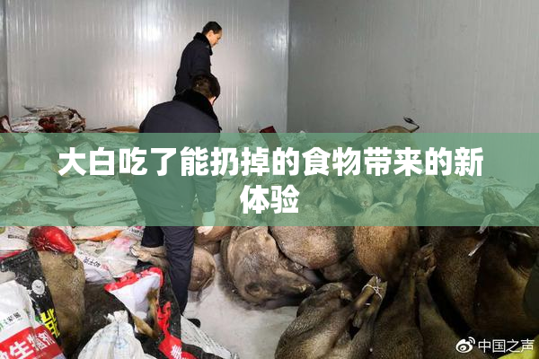 大白吃了能扔掉的食物带来的新体验