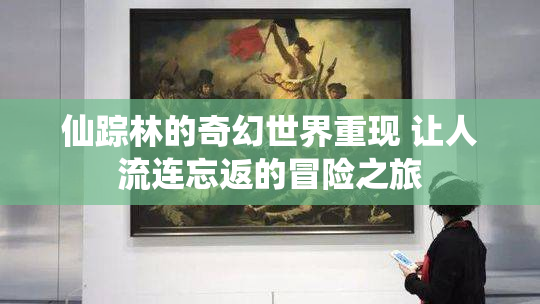 仙踪林的奇幻世界重现 让人流连忘返的冒险之旅
