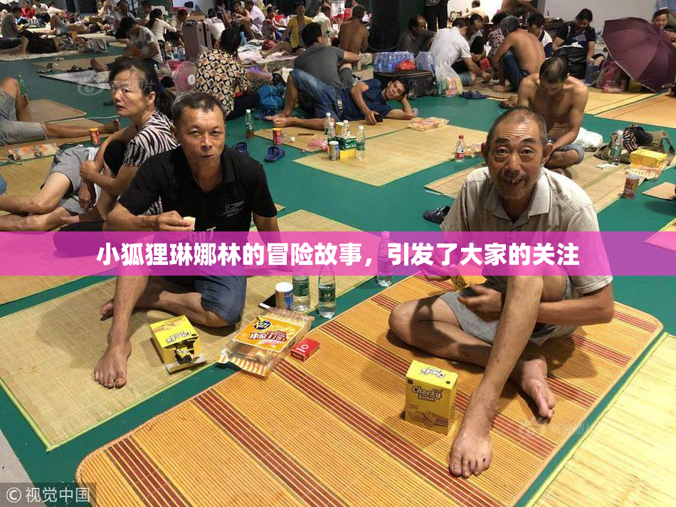 小狐狸琳娜林的冒险故事，引发了大家的关注