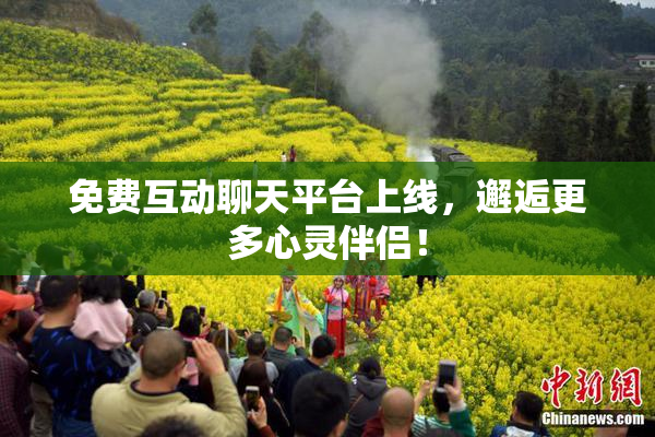 免费互动聊天平台上线，邂逅更多心灵伴侣！