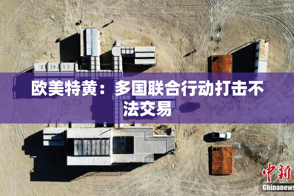欧美特黄：多国联合行动打击不法交易