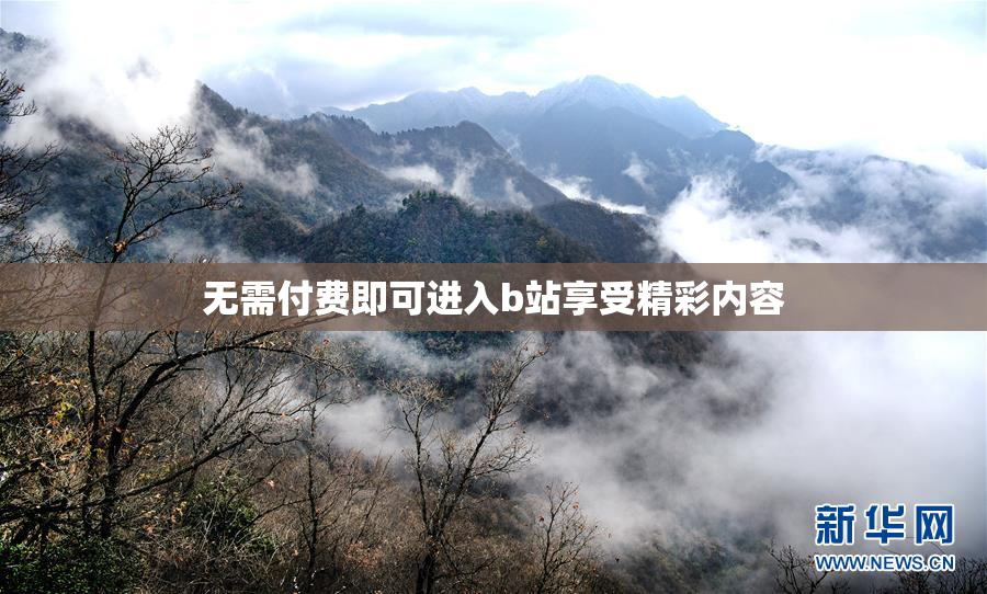 无需付费即可进入b站享受精彩内容
